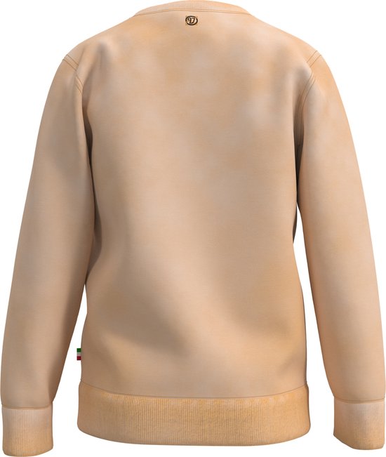 Vingino BASIC-CREWNECK-WASH Jongens Trui