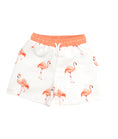 Afbeelding laden in galerijweergave, Meia Pata zwembroek jongens Flamingos met flamingoprint — vooraanzicht