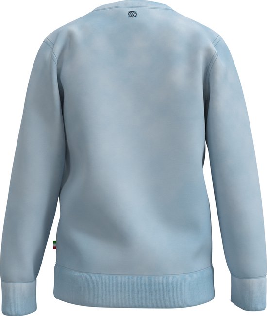Vingino BASIC-CREWNECK-WASH Jongens Trui