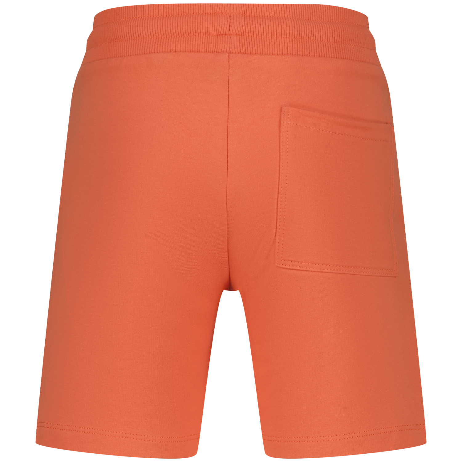 Ramapo-Deep coral
