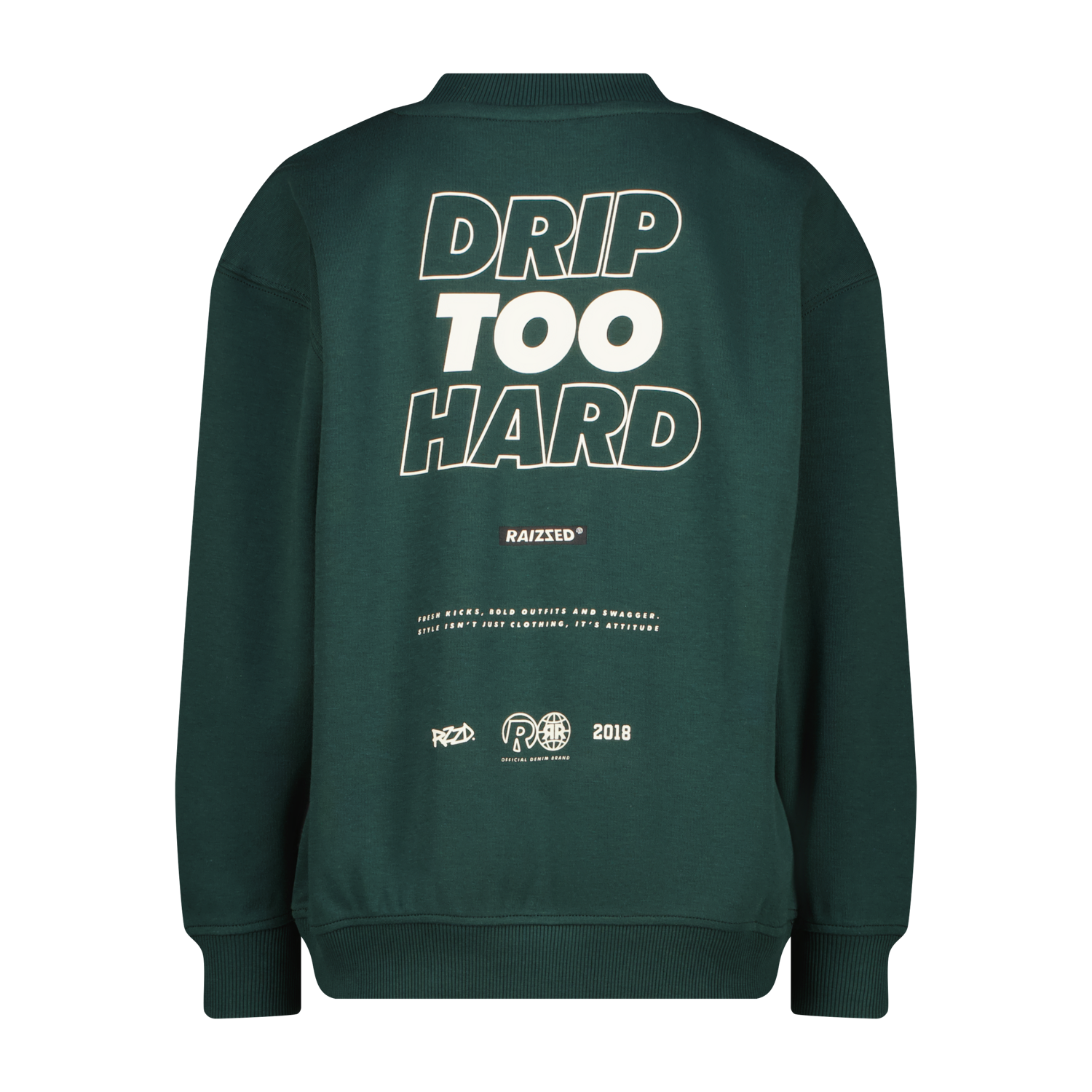Raizzed sweater jongens Sohard Dark Green, achterkant