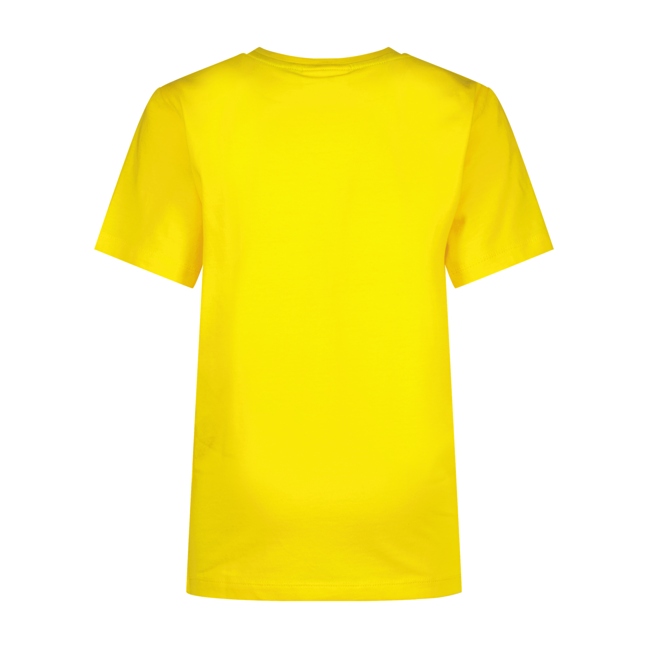 T-shirt Icon