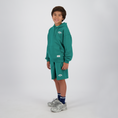 Afbeelding laden in galerijweergave, Icon-hoody-Ivy

