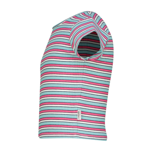 Basic rib crop striped tee